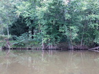 IMG 4454